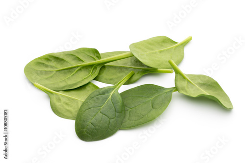 Spinach on the isolated white.