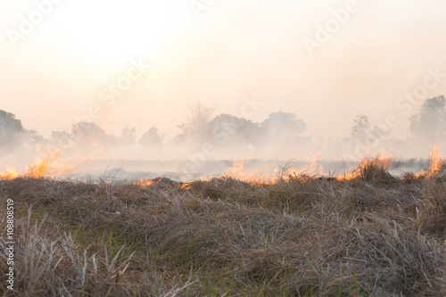 Field on fire, burning dry grass near the highway