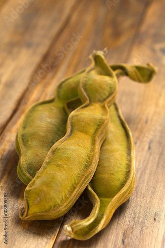 Peruvian fruit called Pacay (lat. Inga feuilleei), which is a podded fruit of which the sweet white pulp surrounding the seeds is being eaten (Selective Focus, Focus one third into the image)