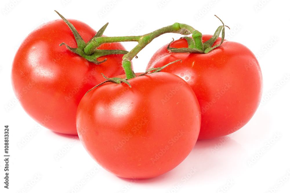 branch of three tomatoes isolated on white background branch of three tomatoes isolated on white background