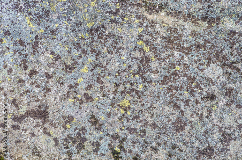 Granite rock covered with lichen Granite rock covered with lichen
