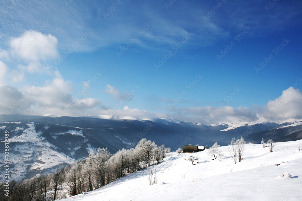 Fototapeta premium Carpathian Mountains