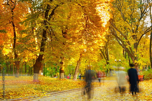 Strolling in a park