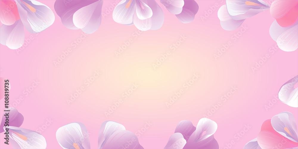Flowers frame. Pink petals isolated on pink. Vector
