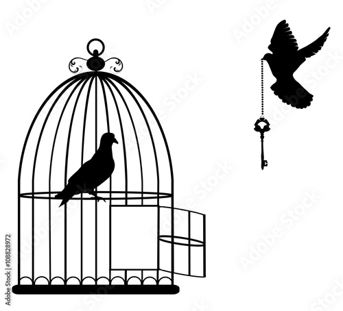 vector illustration of a bird cage open with doves flying with a key