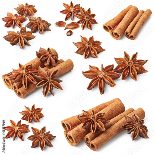 Set of cinnamon and star anise