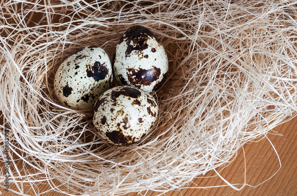 Three quail eggs in the nest. Three quail eggs in the nest.