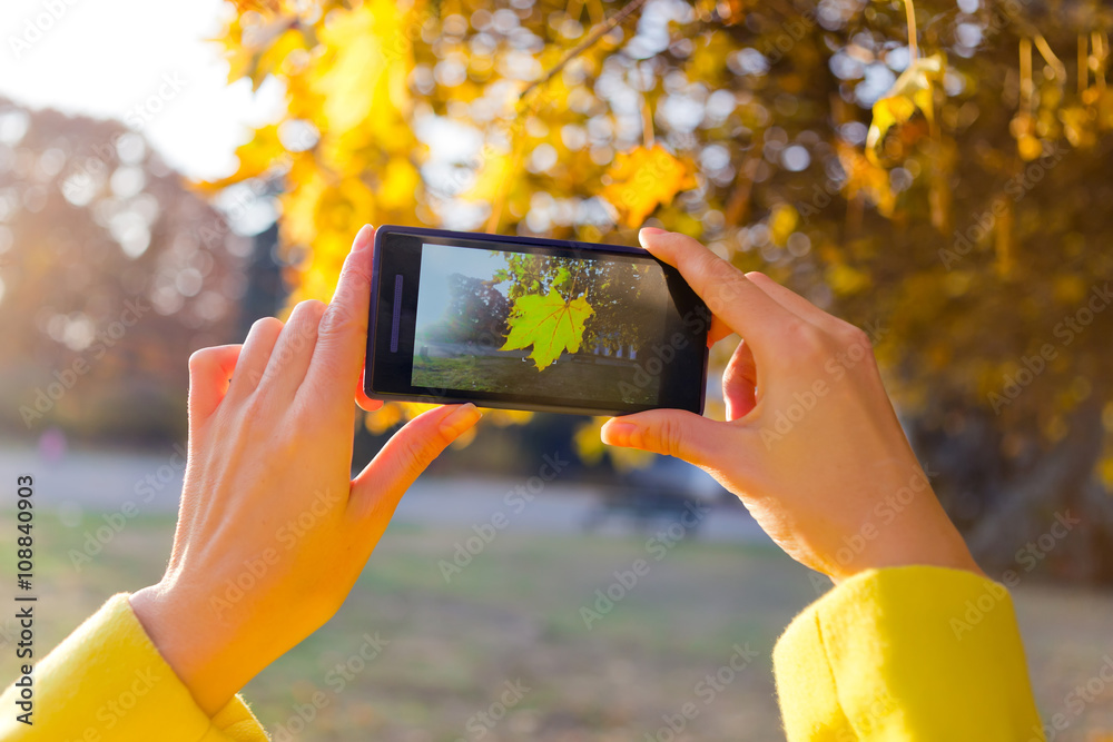 girl photographed golden maple leaf on a smartphone camera