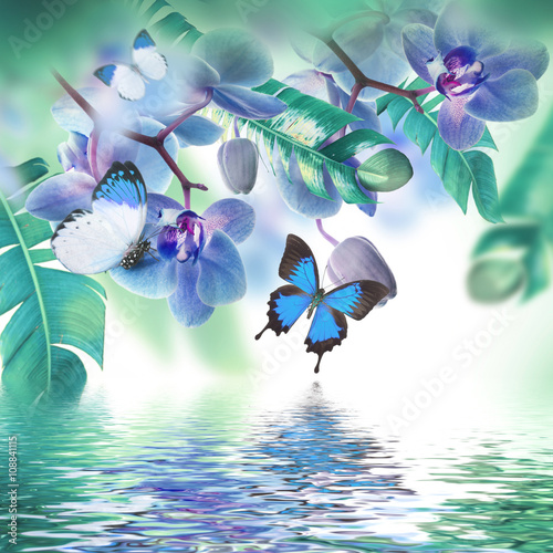 Fototapeta Naklejka Na Ścianę i Meble -  Floral background of tropical orchids