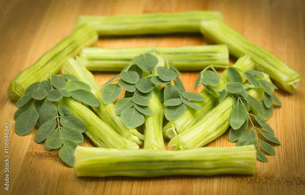 Medicinal moringa oleifera with leaves Medicinal moringa oleifera with leaves