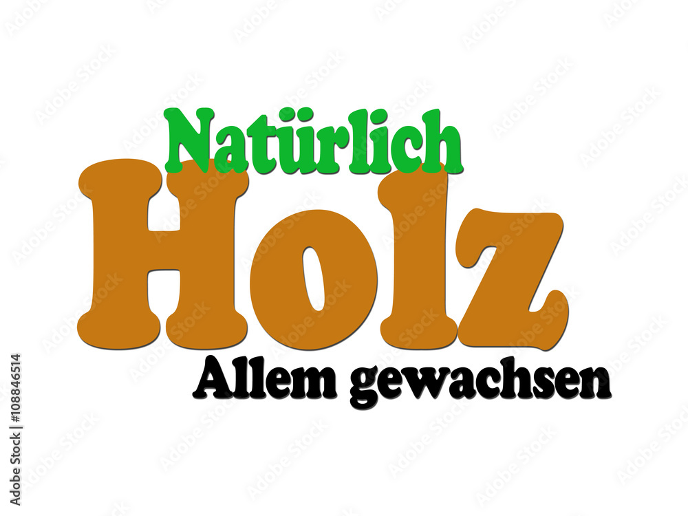 Fototapeta premium Natürlich Holz