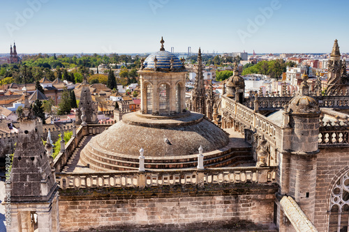 Cathedral Rooftop and Cityscape in Seville
