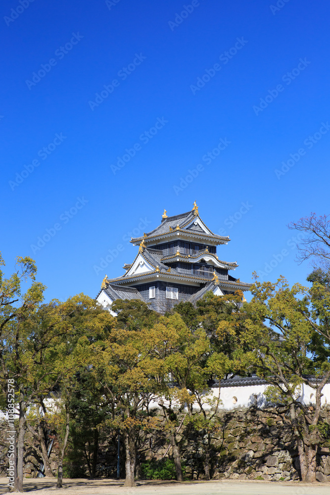 川面に映える漆黒の城 -岡山城-
