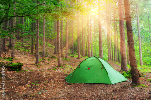 green tent in forest