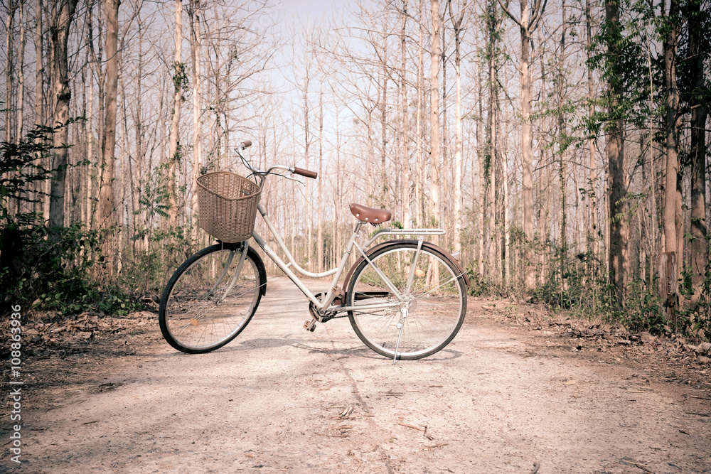 Beautiful vintage Japanese bicycle in the forest ; vintage filter style for greeting card and post card.