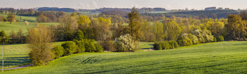 Naklejka premium wiosenny krajobraz wiejski