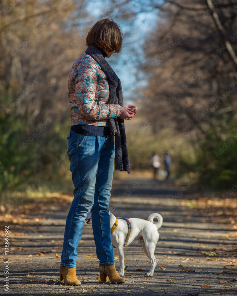 Fototapeta premium woman walking with a dog in autumn park