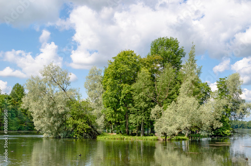 Small island with silvery willows in the midst of a beautiful lake against the blue sky and the Gatchina Palace near Saint Petersburg.	