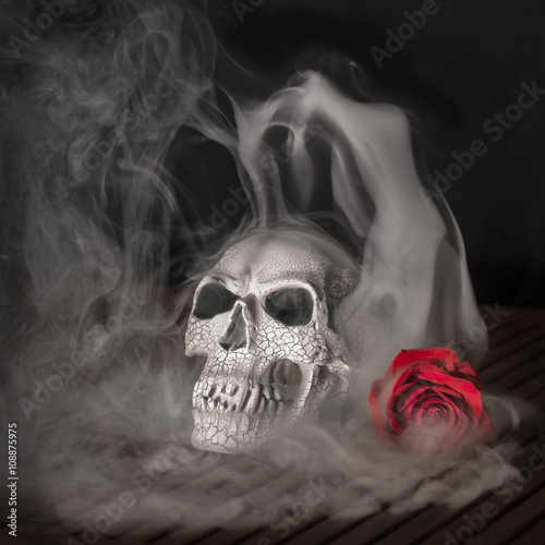 Skull with rose and fog