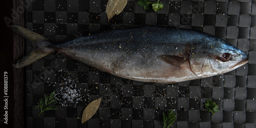 raw tuna fish