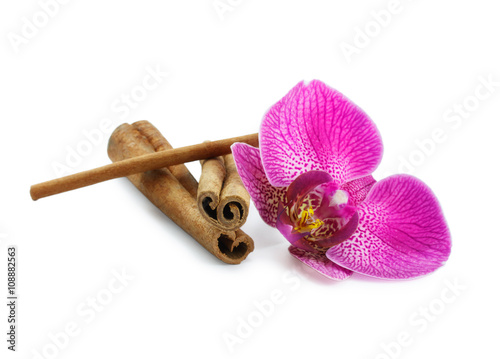 Coffee and orchid isolated on a white background