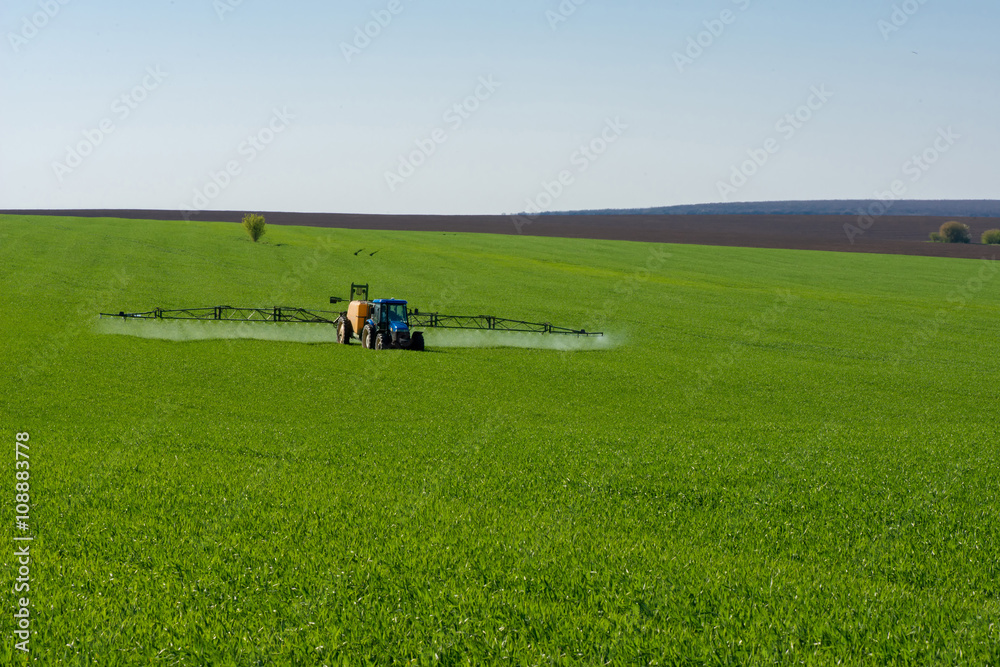 Naklejka premium Tractor spraying pesticide in a field of wheat
