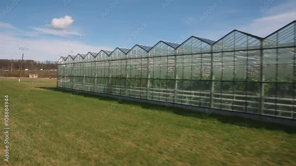 Industrial agricultural greenhouses Industrial agricultural greenhouses