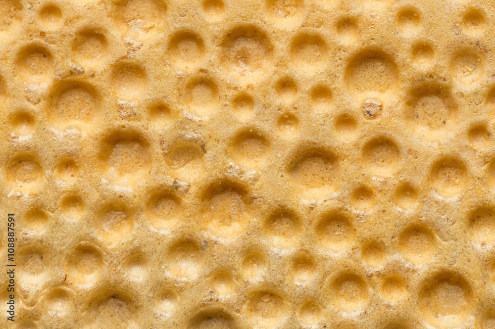 Single wheat crispbread macro shot Single wheat crispbread macro shot