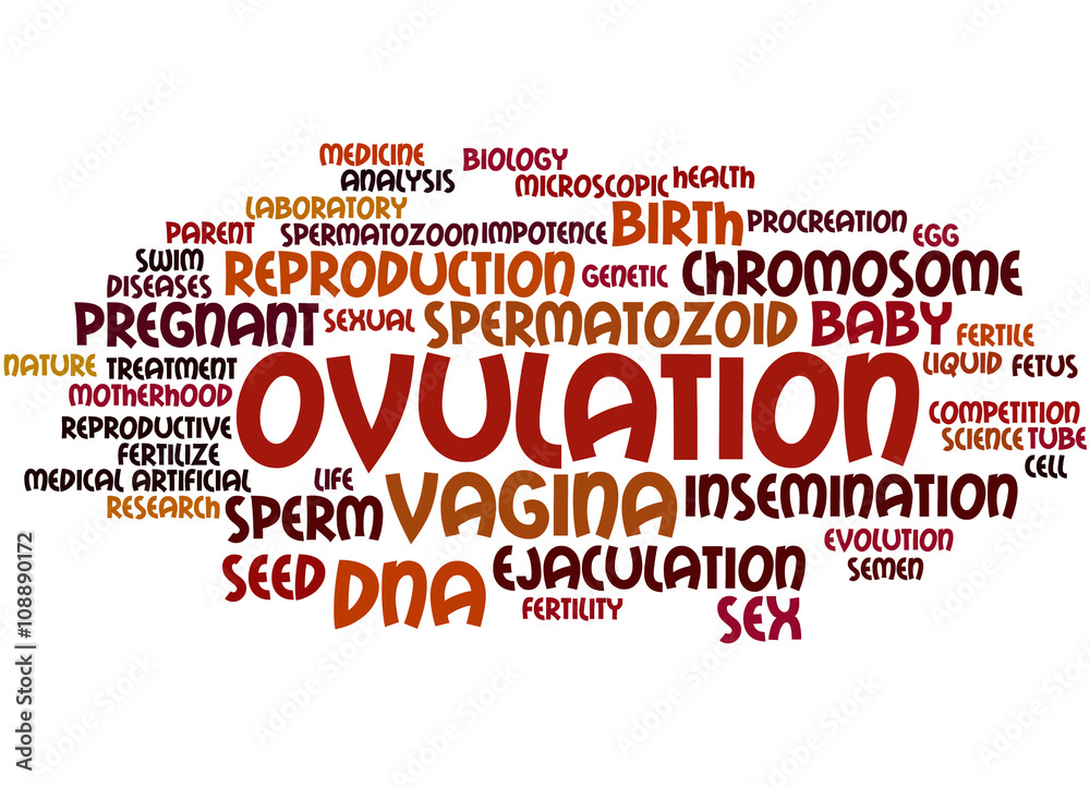 Ovulation, word cloud concept 5 ilustración de Stock Adobe Stock