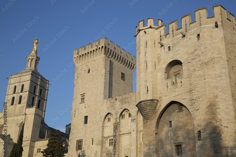 Palais des Papes - Palace of the Popes and Cathedral, Avignon