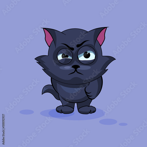 Black cat angry