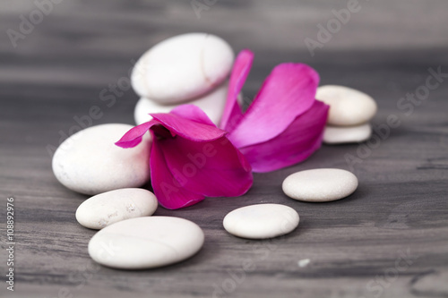 Spa still life with pink orchid and white zen stone