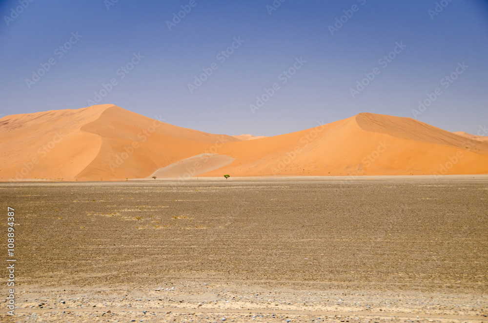 Dunes in  Namib Desert, Namibia.