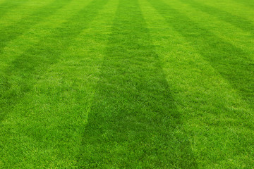 Football field background