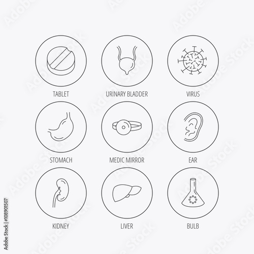 Virus, tablet and stomach organ icons.