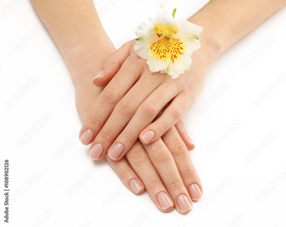 Woman hands with beautiful manicure and white lily isolated on white background Woman hands with beautiful manicure and white lily isolated on white background