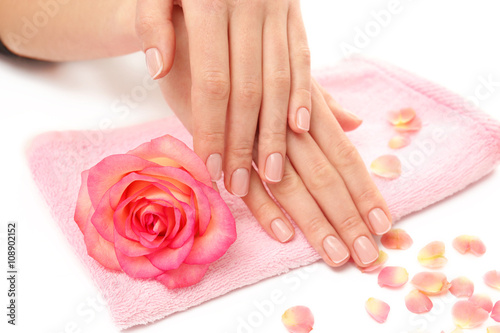 Woman hands with beautiful rose and petals on towel  close up