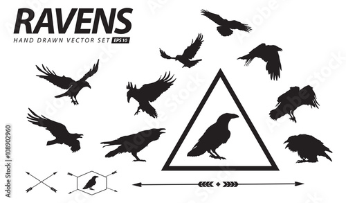 Hand Drawn Ravens Vector Set