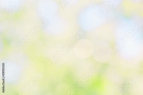 Abstract spring background from blurred blooming garden