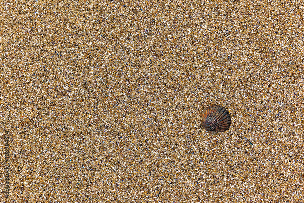 macrostructure of beach sand