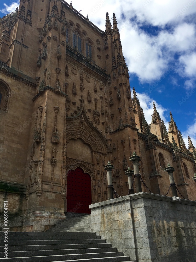 Portico de la catedral de Salamanca