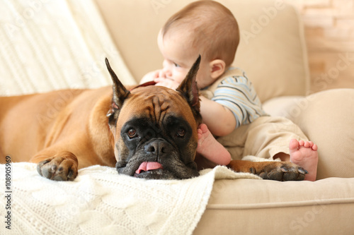 Fototapeta Naklejka Na Ścianę i Meble -  Little baby boy with boxer dog on a couch at home