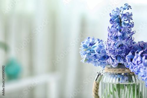 Beautiful hyacinth flowers in glass vase on light blurred background