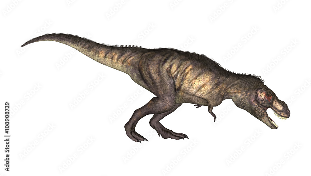 3D Illustration Tyrannosaurus on White 3D Illustration Tyrannosaurus on White
