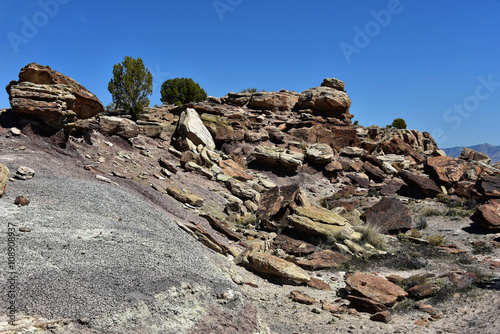 McInnis Canyons - Fruita Paleo Area photo