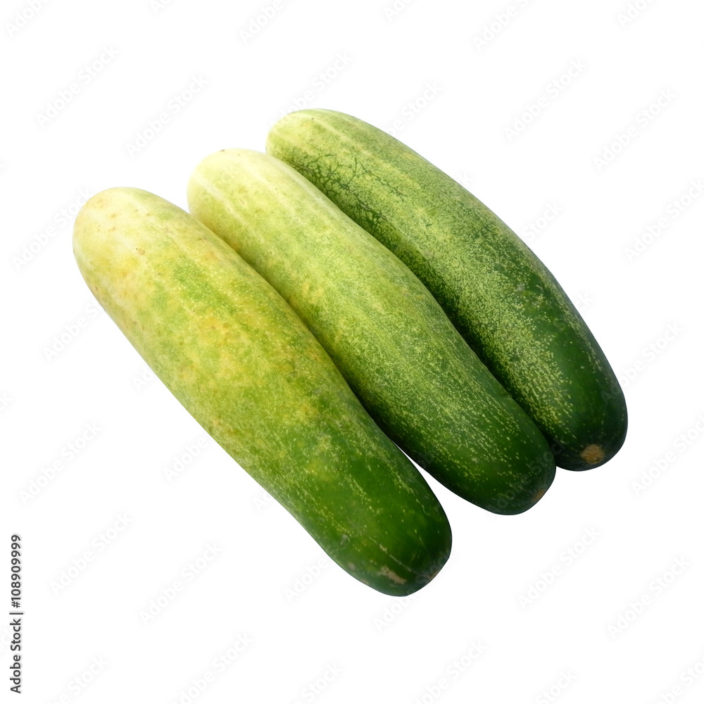 fresh green cucumber on white background vegetables thailand 14 fresh green cucumber on white background vegetables thailand 14