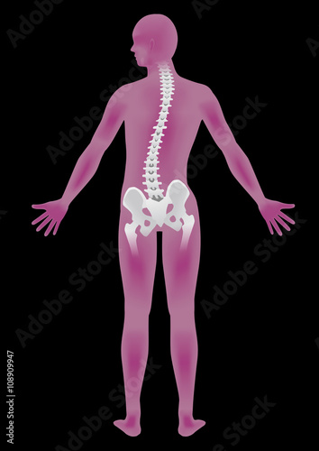 human body back view silhouette and bent backbone, chiropractic image, vector illustration