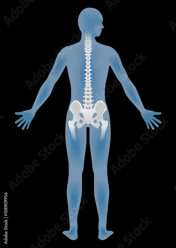 human body silhouette and backbone, chiropractic image, vector illustration