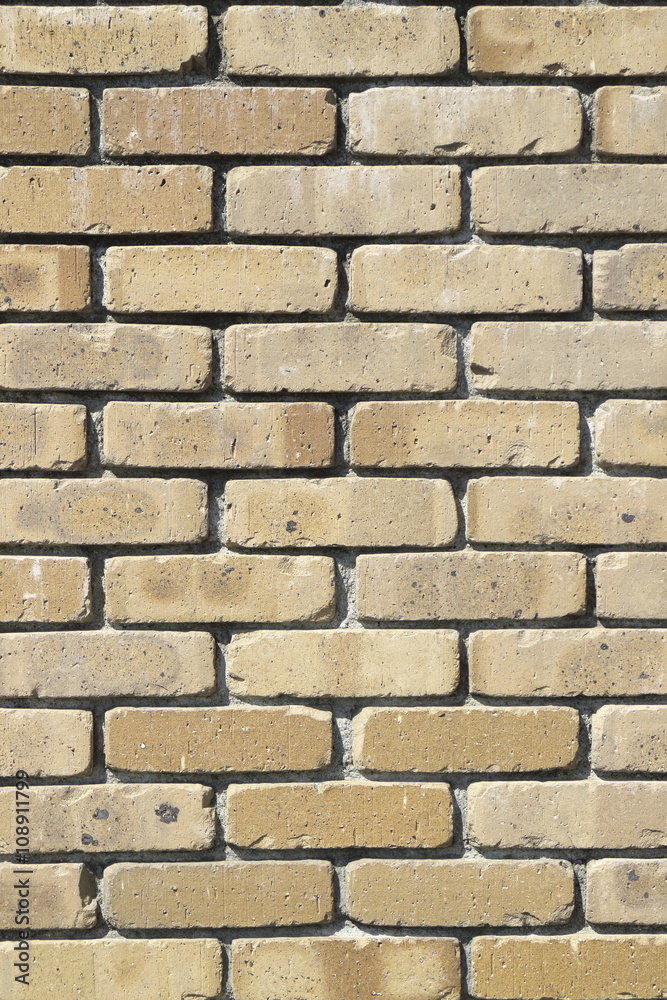 Fototapeta premium レンガの壁の背景素材 Brick Texture background