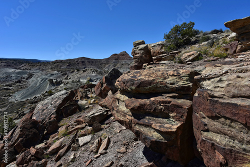 McInnis Canyons - Fruita Paleo Area photo